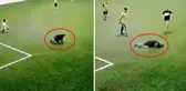 Halı sahada kalp krizi geçirip hayatını kaybetti