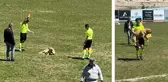 Amatör müsabakada sahaya giren köpeğe 2 kırmızı kart birden
