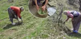 Dağdan toplanıyor, kilosu 10 bin TL'ye satılıyor