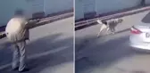 Yaşlı adam kendisine saldıran köpeği vurarak öldürdü