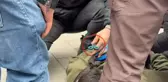 Çantasından makas çıkan göstericinin cevabı polisi bile şaşırttı: Burun kıllarımı alıyorum