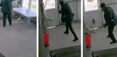 81 yaşındaki adam köy kahvesinde bakılan köpeğe dehşeti yaşattı