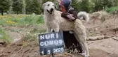 Garip, sahibinin mezarının başından ayrılmıyor