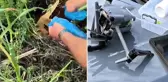 Polis, uyuşturucu sevkiyatı yapılan dronu vurarak düşürdü