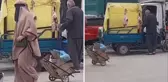 Adana'da seyyar satıcıdan zehir saçan ticaret