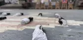 Öğretim görevlisinden Ankara'da kefenli Gazze protestosu
