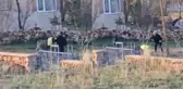 80 yaşındaki adamın sopayla dövdüğü eşek öldü