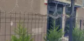 Şehrin ortasında korkutan görüntü! Görenler hemen telefona sarıldı
