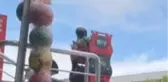 Cips Çalan Kargaya Esnafın Komik Uyarısı