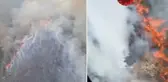 Foça'da tarım arazisinde çıkan yangın ormana sıçradı! Alevlerle mücadele sürüyor