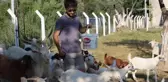 İki üniversite mezunu, yaptığı işi duyan şaşırıyor