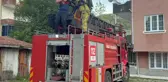 Fareleri kaçırmak için yaptıkları plan, tüm mahalleyi zehirliyordu