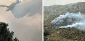 İzmir'de zeytinlik alanda yangın! Kontrol altına alındı