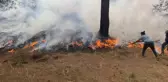 Çanakkale'de Orman Yangınına Hava ve Kara Müdahalesi