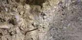 Rüyasında gördüğü için tünel kazarak define arayan anne ile oğlu yakalandı
