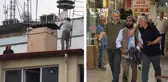 Şehir şehir gezip 100'ün üzerinde intihar girişiminde bulundu