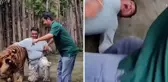 Selfie çekmek istediği kaplanın saldırısına uğrayan adam ağır yaralandı