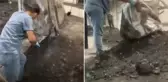 Sınırda tarihi operasyon! Kömüre emdirilmiş halde ele geçirildi