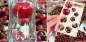 Çay bardağına sığmayan dev kirazda hasat başladı, piyasa değeri 500 TL