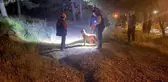 Pendik'te esrarengiz olay! Ormana girdi bir daha haber alınamadı