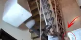 Beyaz eşya getirdikleri apartmandan terlik çalıp gittiler