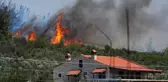 İzmir'de orman yangını yerleşim yerine kadar ulaştı