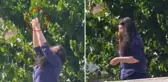 Önce erkek arkadaşının ofisini kurşunladı, sonra intihara kalkıştı