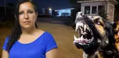 Saldırgan köpekleri almaya giden muhtarı bahçeye kilitlediler