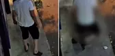 Sokak ortasında köpeğe tecavüz! Mide bulandıran anlar vatandaş kamerasında