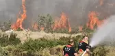 Manisa'daki orman yangınına neden olan kişi tutuklandı