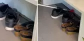 Ayakkabılıktan çıkan yılan paniğe neden oldu