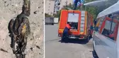 Yüksek gerilim hattına konan karga yangın çıkardı