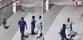 Evde bakılan aslan, duvardan atlayarak sokaktaki insanlara saldırdı