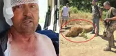 Manavgat'ta hayvan parkından kaçan aslan öldürüldü