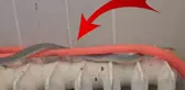 Restoranın tuvaletinde yılan bulundu