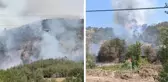 Bilecik'te iki ayrı noktada orman yangını