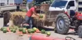 Karpuz parçalayan iki üretici yandı! Fahiş ceza yolda