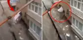 Ankara'da selin şiddetini en iyi anlatan görüntü! Sular, evin duvarını patlattı