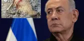 Sözün bittiği yer! Netanyahu'nun son vahşeti
