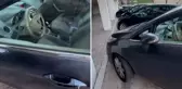 Türkiye'de Tofaş'a binen vatandaşın Hollanda'da aldığı otomobile bakın
