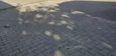Dayı ve yeğeninin miras kavgasında kan aktı: 1 ölü, 1 ağır yaralı