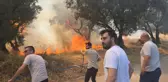 20 zeytin ağacı yandı: 2 çocuk gözaltında