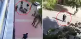 Özel harekat polisini vuran şüpheli böyle etkisiz hale getirildi