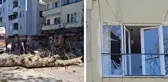 Sakarya'da asırlık ağaç binanın üzerine devrildi