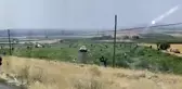 Mardin'de karpuz tarlası sahibi karşılaştığı görüntü karşısında şoke oldu