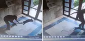 Kediyi dakikalarca işkence ederek öldürdü