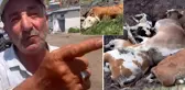 Yetkililer buna ne diyecek? Şap hastalığının vurduğu Ardahan'da vatandaştan olay sözler