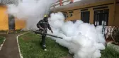 Çin'de 7 binden fazla 'chikungunya' virüsü vakası tespit edildi