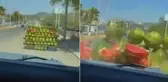 Vicdansız hareket! 'Canımız sıkıldı' deyip esnafın tezgahını dağıttılar