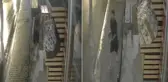 Bir garip hırsızlık! Markete her gece aynı saatte gelip rahat rahat alıp gidiyor